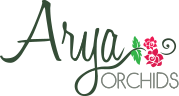Arya Orchids